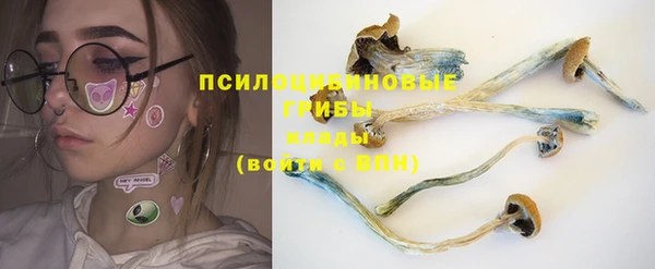 MDMA Новозыбков
