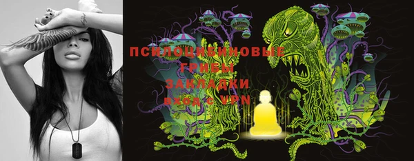MDMA Новозыбков