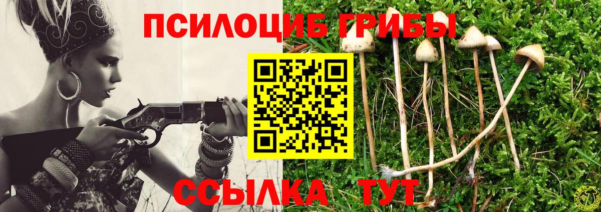 Псилоцибиновые грибы Cubensis  Вход с VPN  Братск  Псилоцибиновые грибы мухоморы 