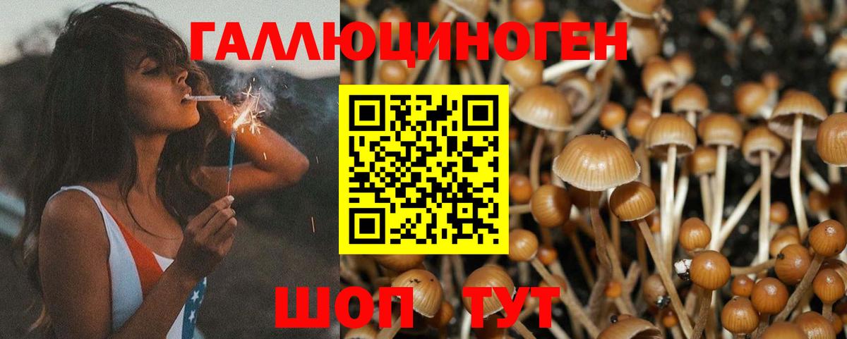 Псилоцибиновые грибы Magic Shrooms Братск